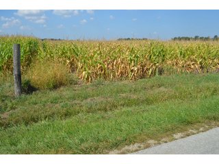 Property photo 39 - REAL ESTATE AUCTION - 604+/- ACRES IN 14 TRACTS IN MERCER CO., OHIO